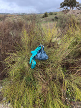 Load image into Gallery viewer, Mini Nossi Bag Teal Green